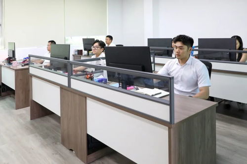 謝崗文旅發(fā)展正式揭牌，商業(yè)綜合體管理服務助力區(qū)域發(fā)展加速鍵